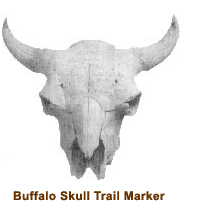 Buffalo Skull