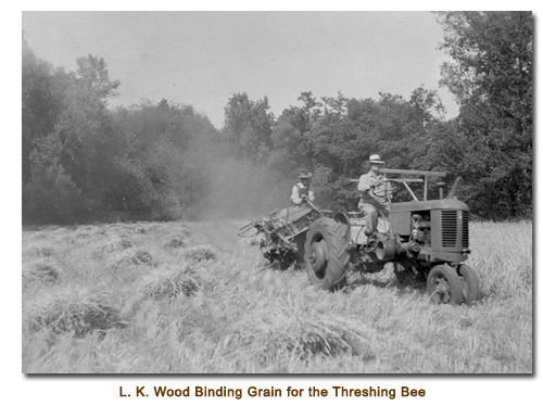 L. K. Wood Binding Grain for his Threshing Bee