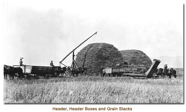 Header, Header Boxes and Grain Stacks