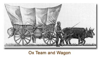 Ox Team & Wagon